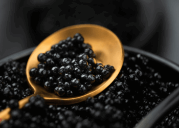 identificazione precoce del sesso negli storioni