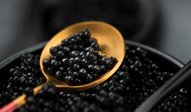 identificazione precoce del sesso negli storioni