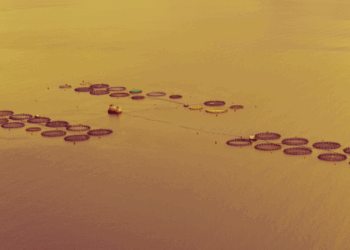 il greenwashing nell’acquacoltura UE