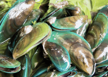 innovazione tecnologica in acquacoltura