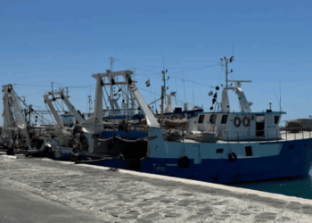 pesca a strascico Mediterraneo 2025