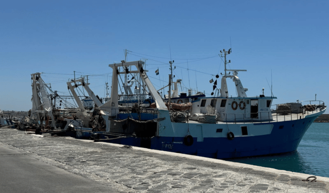 pesca a strascico Mediterraneo 2025