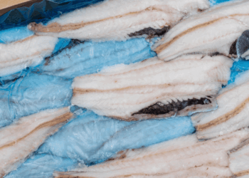 pesce congelato statunitense