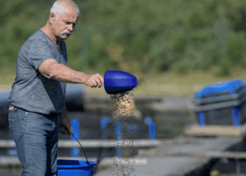 produzione mangimi acquacoltura 2024