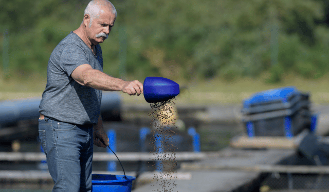 produzione mangimi acquacoltura 2024