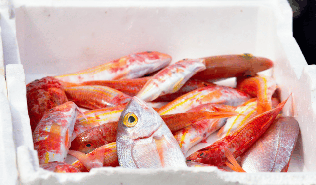 quick commerce ittico