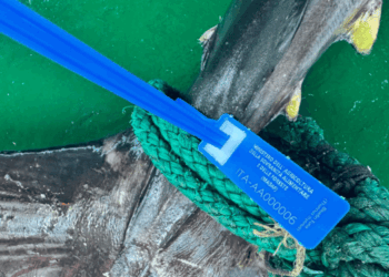 sigillo di garanzia per il tonno rosso