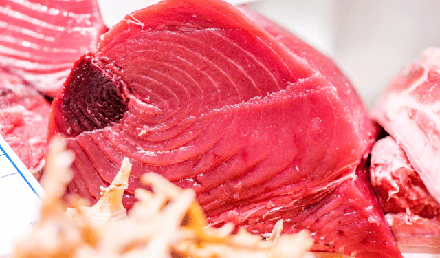 sigillo per il tonno rosso