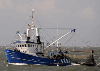 Patto UE per gli Oceani