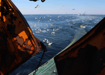 Patto europeo per gli oceani