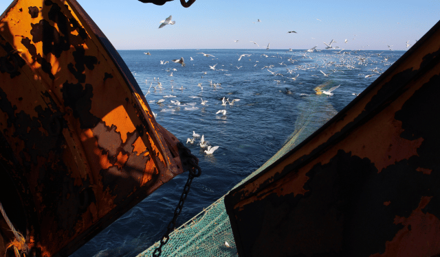Patto europeo per gli oceani