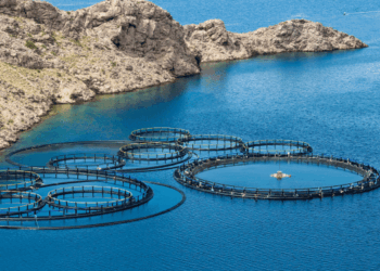 Patto europeo per gli oceani