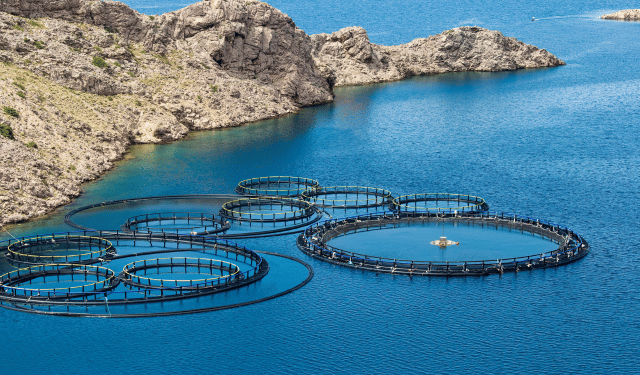 Patto europeo per gli oceani