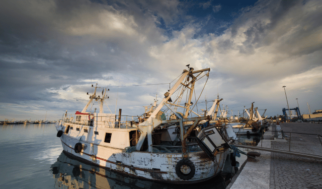 Potenziare la filiera ittica bandi FEAMPA