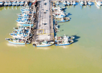 Regione Siciliana. Pesca, al via bando da sei milioni di euro