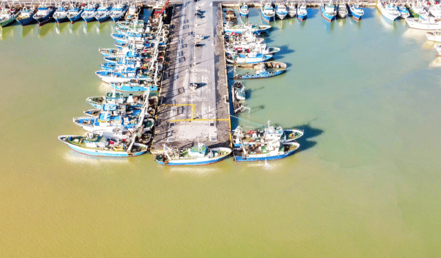 Regione Siciliana. Pesca, al via bando da sei milioni di euro