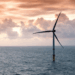 energia eolica in mare