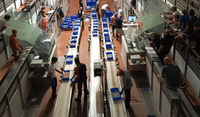 Visita del FLAG Veneziano al Mercato Ittico di Ancona
