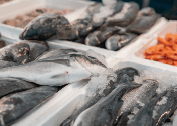 cassette in polistirolo per il pesce