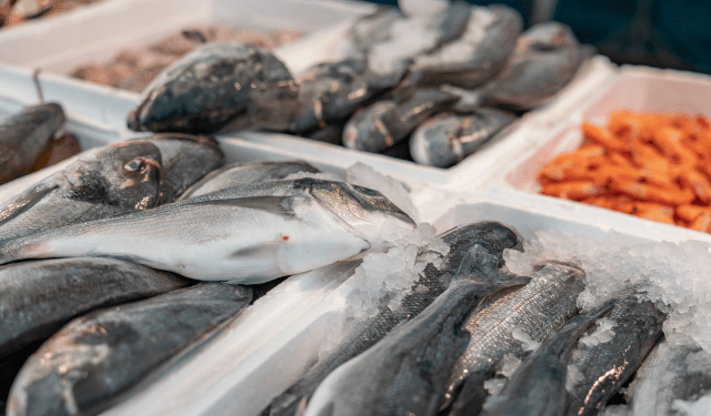 cassette in polistirolo per il pesce