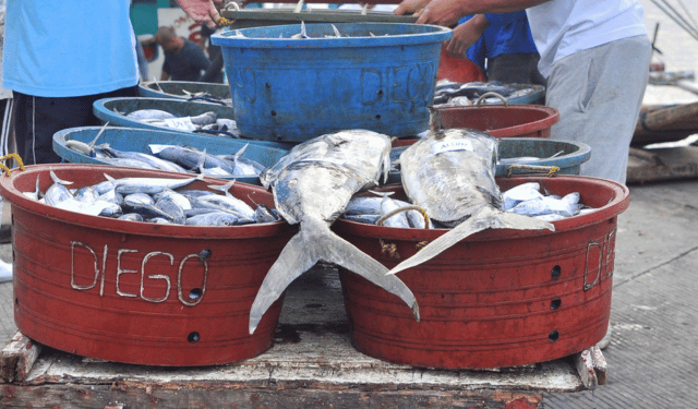 criticità dell’obbligo di sbarco
