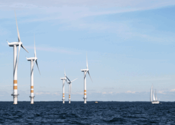 eolico offshore e impatti sulla pesca