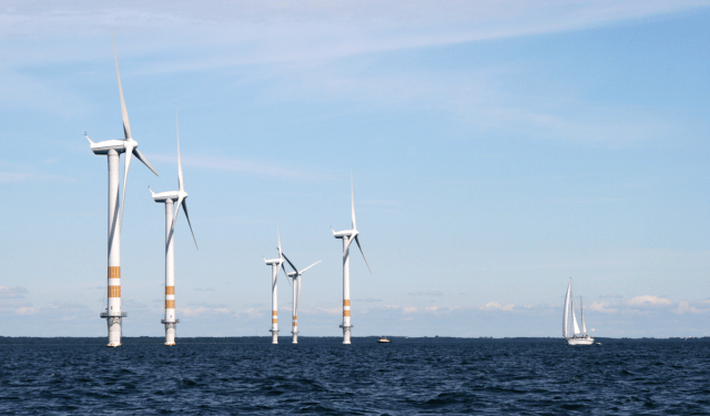 eolico offshore e impatti sulla pesca