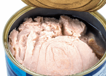 esportazioni di tonno in Egitto