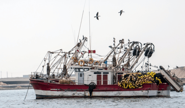 mercato globale degli ingredienti marini