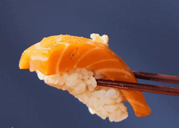 salmone coltivato in laboratorio