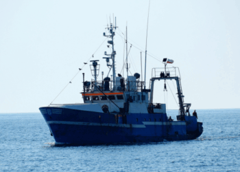 sostenibilità della pesca UE