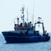 sostenibilità della pesca UE