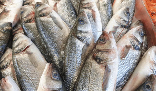 uso di ormoni nell’acquacoltura