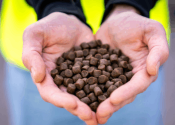 Certificazione ASC: nel 2025, 18 nuovi mangimifici trainano il cambiamento globale