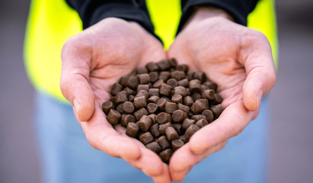 Certificazione ASC: nel 2025, 18 nuovi mangimifici trainano il cambiamento globale