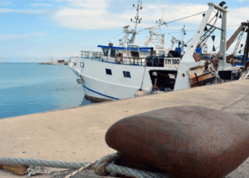 Adriatic Sea Blue Economy summit Ancona 2025