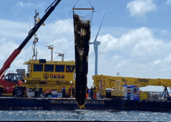 Alghe tra le turbine: la sfida vinta nel Mare del Nord
