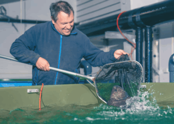 Amar Seafood punta sul pesce lupo: sostenibilità, gusto e mercato premium