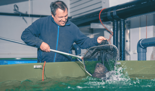 Amar Seafood punta sul pesce lupo: sostenibilità, gusto e mercato premium