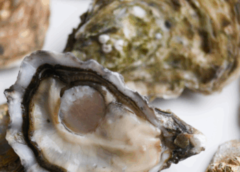 I.WAI Food, filiera controllata e visione d’impresa