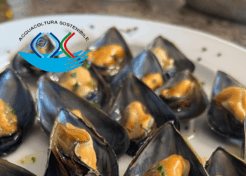 Mitilla Earns National Sustainable Aquaculture Certification