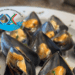Mitilla Earns National Sustainable Aquaculture Certification