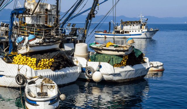 Pesca "sacrificata" nella proposta di bilancio UE. No al taglio dei fondi