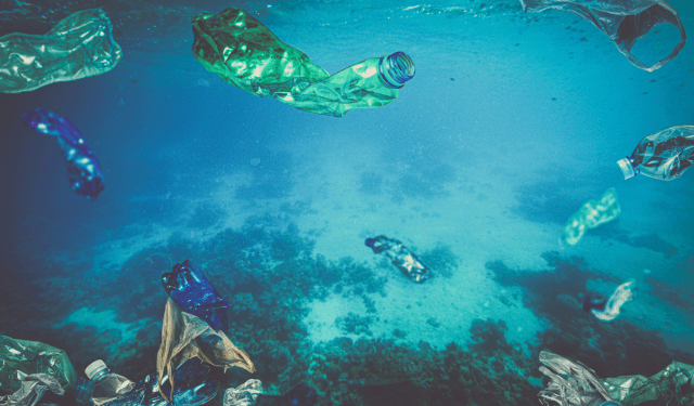 Plastica e resistenza antimicrobica: un’emergenza che coinvolge anche il mare