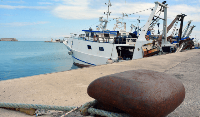 Sostenibilità, Innovazione e Cooperazione nella Blue Economy per il mare Adriatico