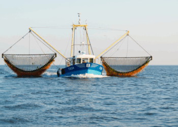 Unione Europea più severa contro la pesca non sostenibile