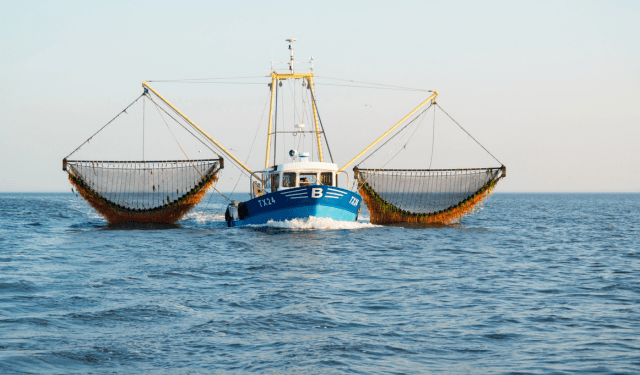 Unione Europea più severa contro la pesca non sostenibile