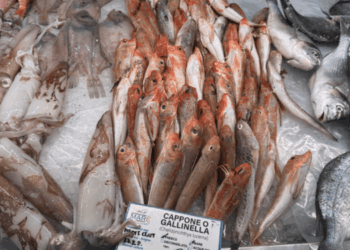 Vendite del pescato italiano