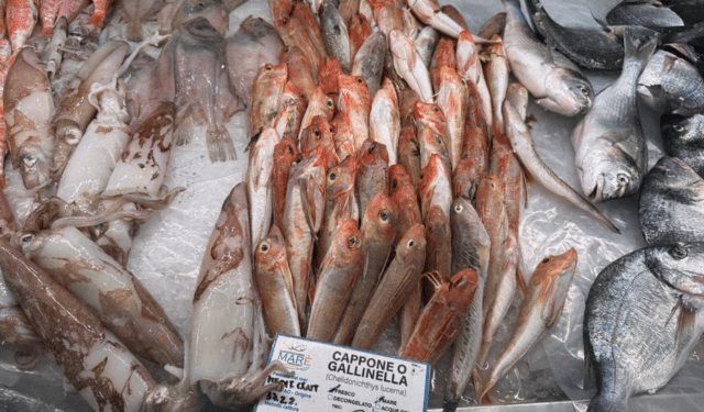 Vendite del pescato italiano