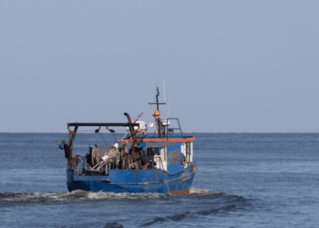 Verso una nuova strategia globale dell'UE per la pesca